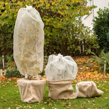 Voorbereiding op nachtvorst: bescherm je kwetsbare planten