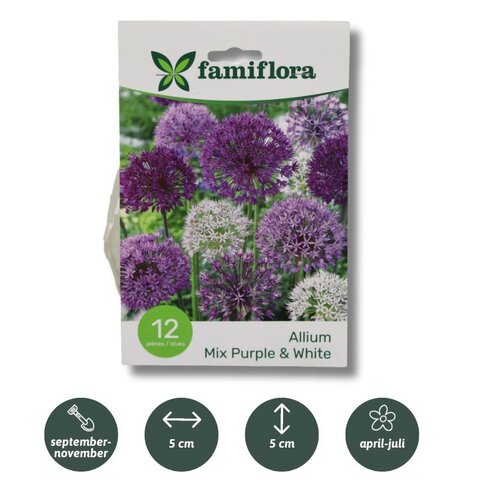 Allium mix mauve/blanc par 12 10/12 - image 1