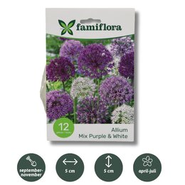 Allium mix mauve/blanc par 12 10/12