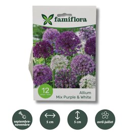 Allium mix mauve/blanc par 12 10/12 - image 2