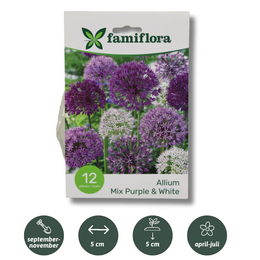 Allium Mix Paars-Wit per 12 - afbeelding 1