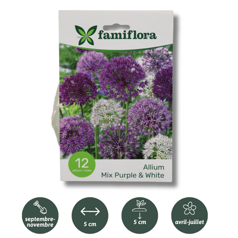 Allium Mix Paars-Wit per 12 - afbeelding 2