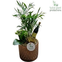 Amy Gold Sylvester - afbeelding 2