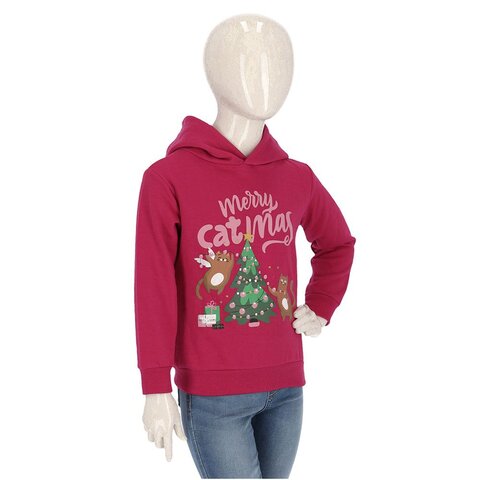 Apollo kids X-mas hoody pupil - afbeelding 7