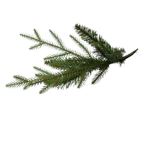 Arkansas Dark Green PE Hinged Wooden LB Base 183cm - afbeelding 4
