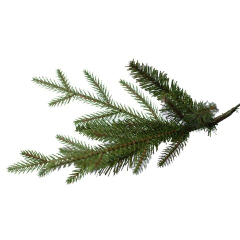 Arkansas Dark Green PE Hinged Wooden LB Base 228cm - afbeelding 3