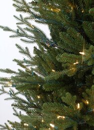 Arkansas Dark Green wood base 213cm 450Led - image 2