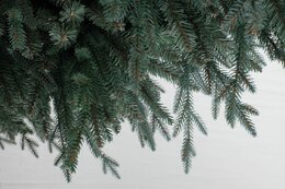 Arkansas Frosted Blue PE Hinged Wood DB Base 213cm - afbeelding 2