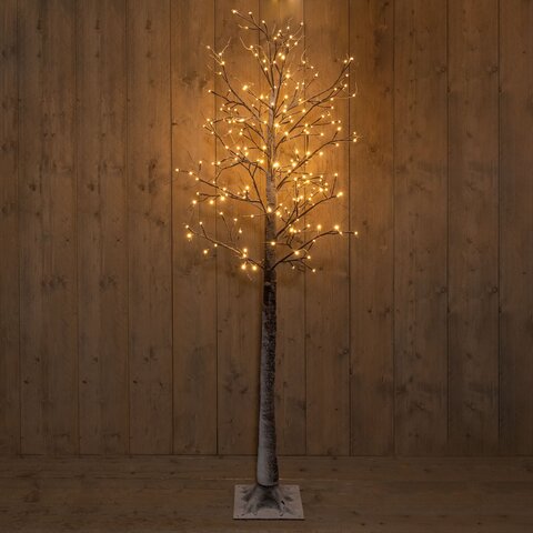 Berkenboom 204Led classic warm