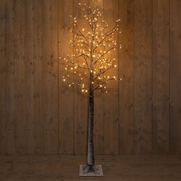 Berkenboom 204Led classic warm