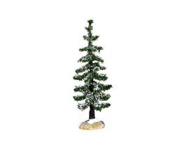 Blue Spruce Tree, Small