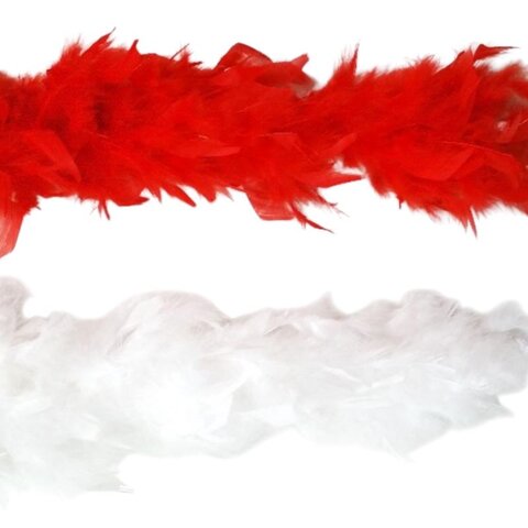 boa 24 rouges 24 blancs 310191