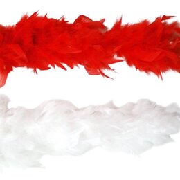 boa 24 rouges 24 blancs 310191