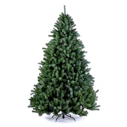 Boston Spruce Hinged 150cm
