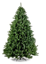 Boston Spruce Hinged 240cm - afbeelding 1