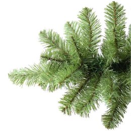 Boston Spruce Hinged 240cm - afbeelding 3