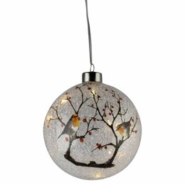 Boule de Noël D12cm 10Led oiseaux