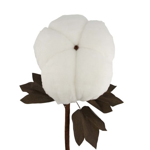 Branche coton 28x60cm