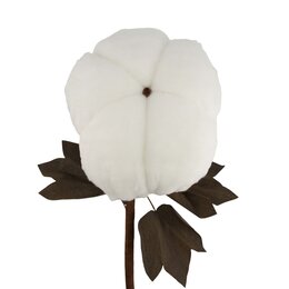 Branche coton 28x60cm