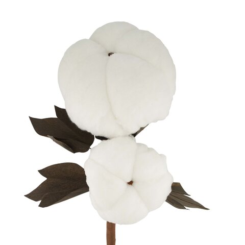 Branche coton 35x60cm