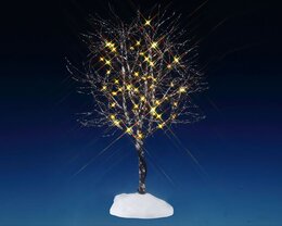 butternut tree, clear light, b/o (4.5v)