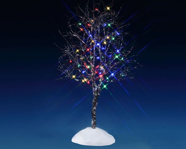 butternut tree