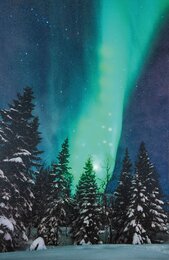 Canvas 35x58cm Led - bewegend noorderlicht
