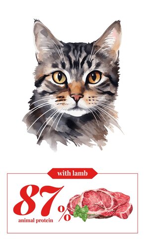 CEBICAN COSMO Adult KAT met lam 7,5KG - afbeelding 2