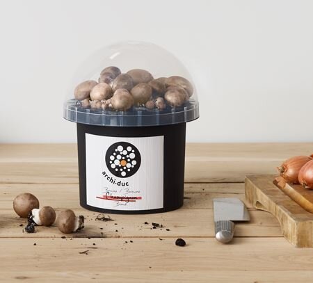 champignons Archi-Duc bruin kit - afbeelding 2