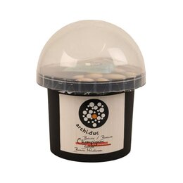 champignons Archi-Duc bruin kit