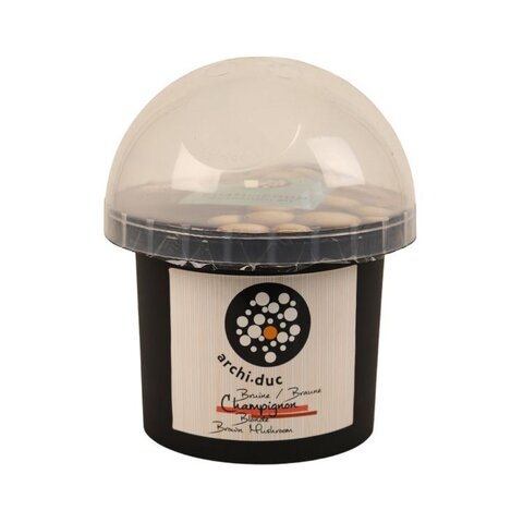 champignons prêt-à-pousser Archi Duc blondes kit - image 1