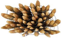 clotûre bois acacia 5 x 1,2m spacing: 4,5cm, Ø8-12 - image 5