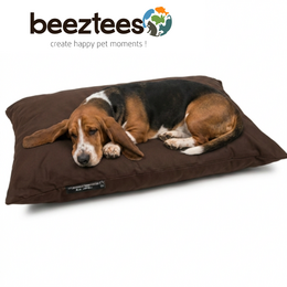 Coussin lounge XL BEEZTEES - brun XL120x90 cm