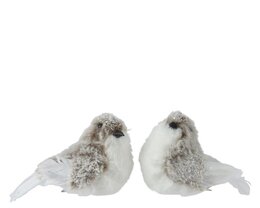 Deco vogel 12x6x8cm op clip bruin 2ass