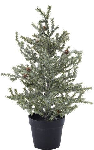 Dennenboom H33cm in pot - frosted