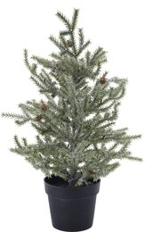 Dennenboom H33cm in pot - frosted
