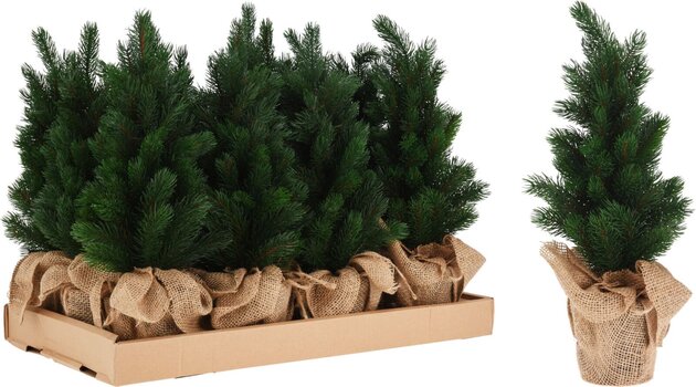 Dennenboom H45cm jute pot