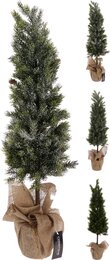 Dennenboom H80cm in jute pot 3ass