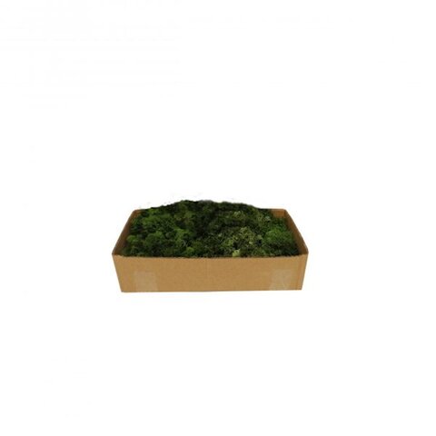 donkergroen korstmos 500g