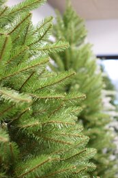 Dunhill Fir Hinged h213cm - afbeelding 2