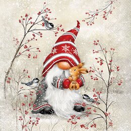 Dwarf hug FSC MIX 33x33cm - afbeelding 1