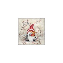 Dwarf hug FSC MIX 33x33cm - afbeelding 2