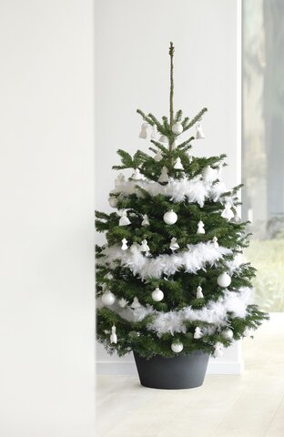 Ecopots kerstboomvoet XL - dark grey Ø 50cm - afbeelding 5