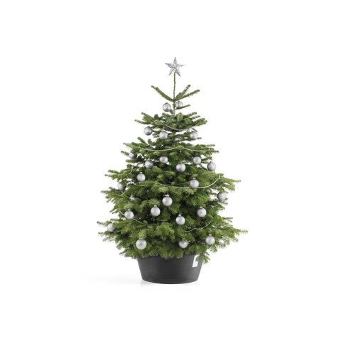 Ecopots kerstboomvoet XL - dark grey Ø 50cm - afbeelding 3