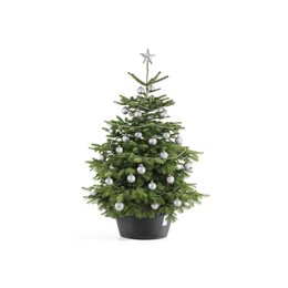 Ecopots kerstboomvoet XL - dark grey Ø 50cm - afbeelding 3