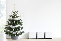 Ecopots kerstboomvoet XL - grey Ø 50cm - afbeelding 4