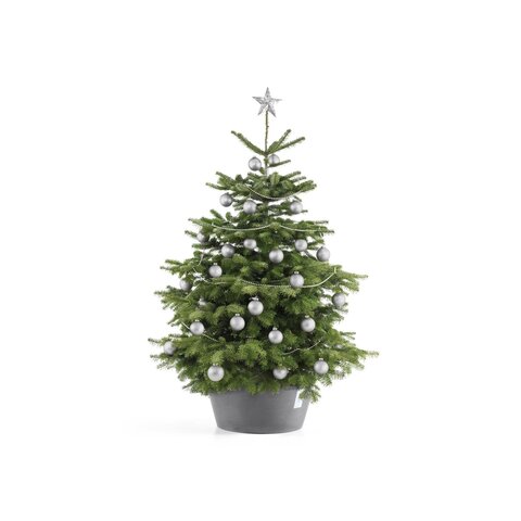 Ecopots kerstboomvoet XL - grey Ø 50cm - afbeelding 3