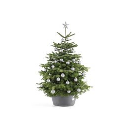 Ecopots kerstboomvoet XL - grey Ø 50cm - afbeelding 3