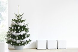 Ecopots kerstboomvoet XL - white grey Ø 50cm - afbeelding 4
