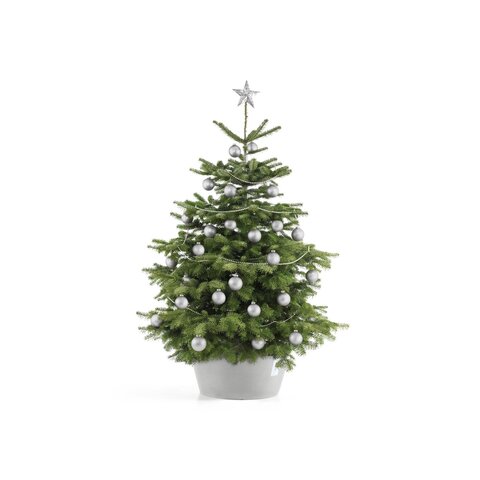Ecopots kerstboomvoet XL - white grey Ø 50cm - afbeelding 2